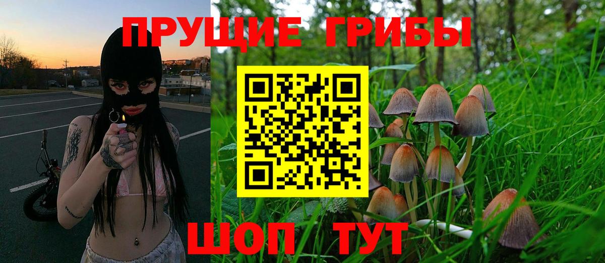 Галлюциногенные грибы Psilocybine cubensis  Вход с VPN  Вольск  хочу   Галлюциногенные грибы Psilocybe 